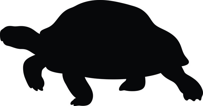 Land tortoise silhouette vector. Slow turtle vector icon