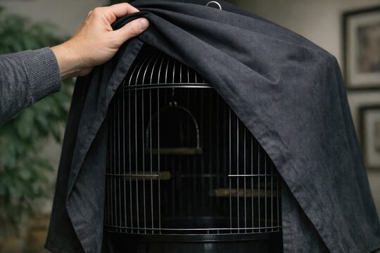 A person holds a bird cage with a black cloth covering the contents, likely hiding or protecting the birds
