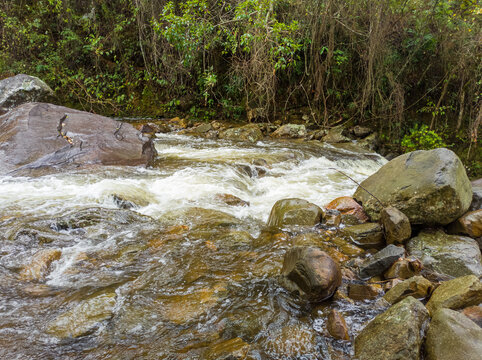 A flowing stream forming rapids over large rocks amidst dense tropical rainforest vegetation.