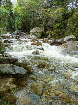A strong current forming a waterfall, cascading over rock formations in a lush green setting surrounded by native forest.