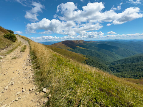 Panoramic landscape of Carpathian mountains featuring dirt road along on Borzhava ridge, Ukraine, with golden meadows, rolling hills, dense forested mountain slopes, white clouds reaching horizon
