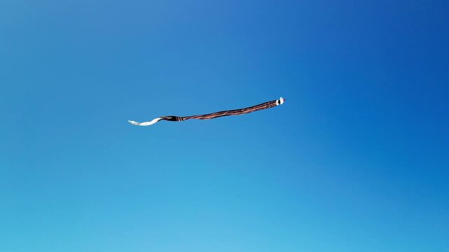 Clear blue sky with an elegant long kite floating freely, its flowing tail creating soft movement and strong contrast against the bright background.