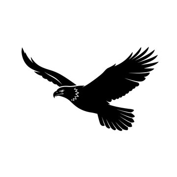 Soaring bald eagle silhouette black raptor vector for outdoor apparel and nature conservation branding.