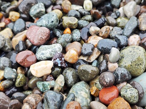 Top view of wet colorful pebbles on a beach. Natural smooth stones texture background. Macro view of shiny river rocks