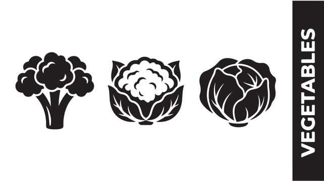 Vegetable icons set broccoli cauliflower cabbage vector graphic illustration