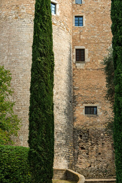 Spain, Catalonia, Girona.  Cypress trees define the landscape alongside the Cathedral of Santa Maria.