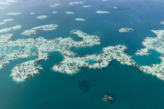 Halimeda calcareous algae and white sand forms abstract patterns in Kakaban Lake amid the Derawan Islands, Indonesia. The lake, surrounded by limestone, harbors four species of harmless jellyfish.