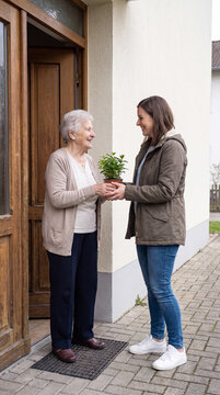 Young woman gifting potted plant to smiling elderly neighbor at doorstep
