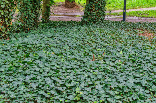 Views in the city park at the end of the fading summer.