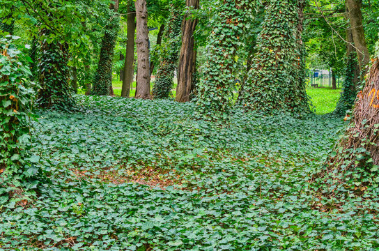 Views in the city park at the end of the fading summer.