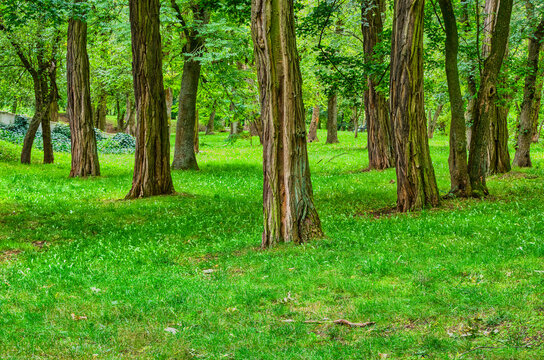 Views in the city park at the end of the fading summer.