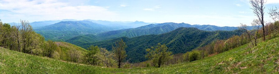 Ultra-wide panorama of green mountain ridges fading into a blue haze. Grassy slope with young trees in the foreground. Clear spring sky.