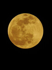 Golden full moon isolated on clear black night sky background. © Tiago