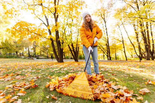 Young female volunteer works with a rake in a park covered in yellow leaves. Woman with a yellow rake gathers fallen leaves at sunset. Concept of ecology, cleanup, and the changing seasons.