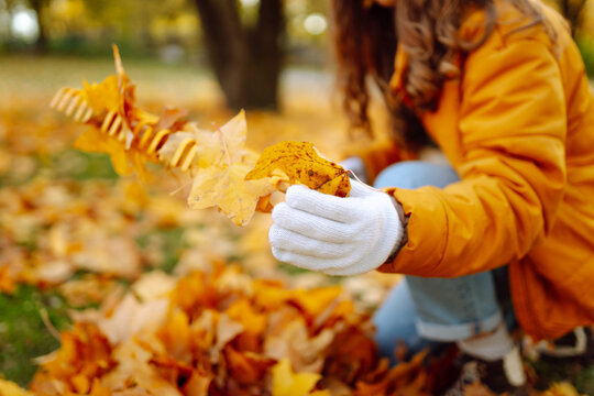 Young female volunteer works with a rake in a park covered in yellow leaves. Woman with a yellow rake gathers fallen leaves at sunset. Concept of ecology, cleanup, and the changing seasons.