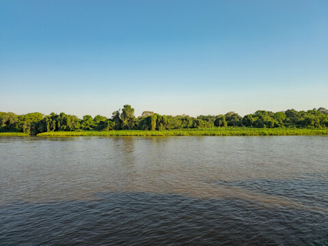 Miranda River Landscape and Riparian Forest in Pantanal Wetlands Brazil