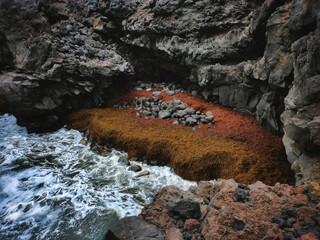 Obraz premium Orange algae covering rocks in a volcanic sea cave
