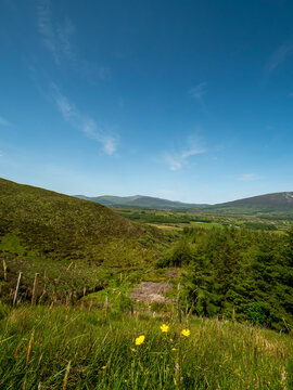 Rolling green hills under bright blue sky with wispy clouds. Yellow wildflowers dot grassy foreground. Lush trees frame valley below. Serene rural landscape evokes peace and calm