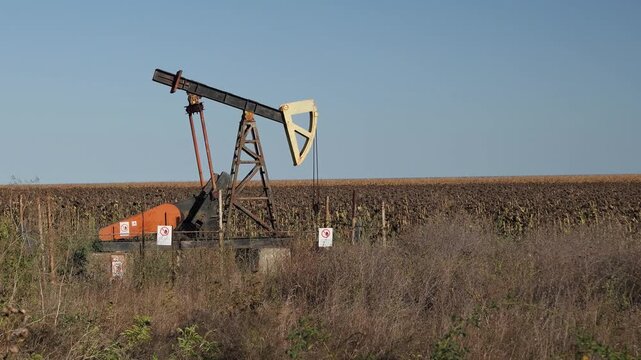 Industrial oil pumpjack extracting crude oil in field