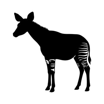 Okapi silhouette with striped legs, African forest giraffe animal icon, black and white wildlife graphic on white background