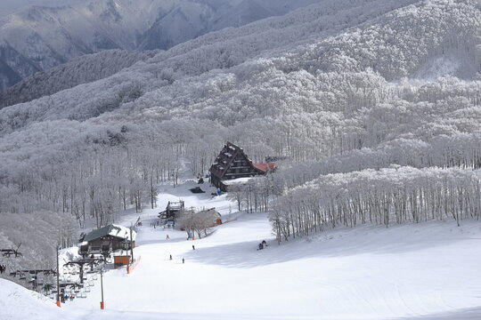 霧氷の蔵王温泉スキー場中央ゲレンデ
