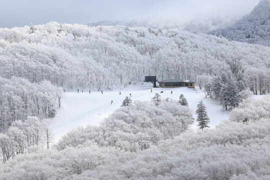 霧氷の蔵王温泉スキー場中央ゲレンデ