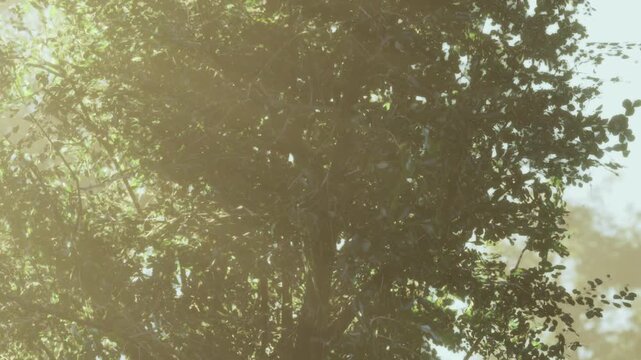 Golden rays cascade through the foliage of a vibrant tree, creating a peaceful ambiance. The forest is alive with soft light and gentle rustling of leaves in the warm breeze.