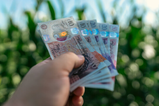 British pound sterling GBP banknotes representing United Kingdom currency finance banking and money concept