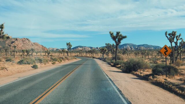 First person perspective driving on scenic road trip through beautiful desert landscape of joshua tree national park in california, surrounded by yucca plants and rocky mountains