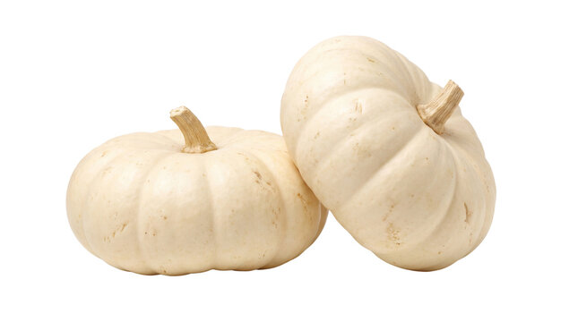 White mini pumpkins for autumn decor, organic cream baby boo pumpkins, seasonal fall harvest vegetables for thanksgiving isolated PNG with Transparent Background