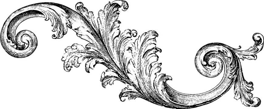 Ornate antique engraving scroll corner decorative flourish isolated on white for vintage border design and ornamental background detail