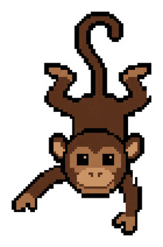 Playful monkey hanging upside down