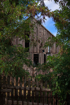 Old weathered wooden barn overgrown with green trees and framed by rustic fence in countryside