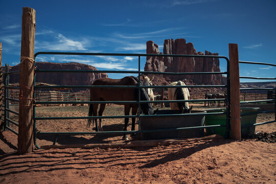 Horses drinking water at a desert corral in Monument Valley, with red rock buttes and blue sky in the background