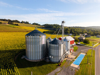 Aerial View of Sunflower Fields and Farm Silos in Rural Countryside © Will