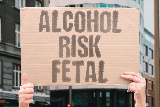 "Alcohol Risk Fetal" Maternal drinking causes developmental damage to baby. HEALTH. PREGNANCY. ALCOHOL. MEDICAL. TOXIN.