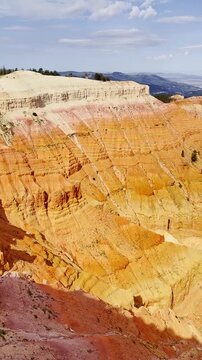 A yellow-bellied marmot navigates rugged limestone rim overlooking the colorful amphitheater at Cedar Breaks National Monument Utah