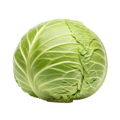 Fototapeta premium A green cabbage on a white background