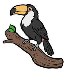 Cute cartoon toucan tropical bird with big yellow beak perched on a tree branch illustration isolated on transparent background © pranowo