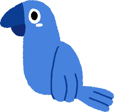 Cute blue parrot bird vector illustration in flat style
