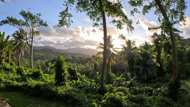 Tropical Sunset Over Puerto Rico Rainforest With El Yunque in the Distance Timelapse
