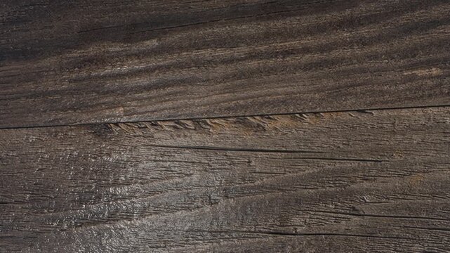 Macro Texture of Wet Dark Rough Wood Grain with Glistening Water Drops