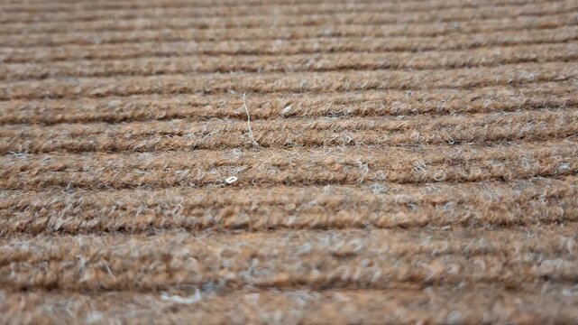 Striped woven carpet texture in close view. Interior material, home decor, abstract pattern, textile surface, flooring detail.