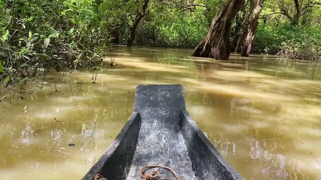 Wooden Boat Navigating Through Muddy River Water in Swamp Forest