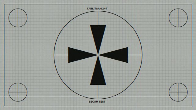 Retro analog television test pattern with glitch distortion and scanline flicker effects.