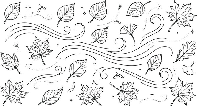 Autumn wind blowing leaves vector icon set with flying maple oak and birch foliage in line art style