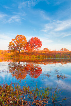 Autumn forest reflected in still lake