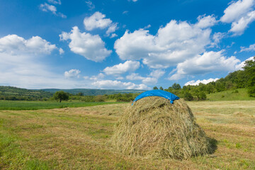 Traditional haystack in rural countryside © Gray wall studio
