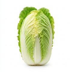 Fototapeta premium Napa Cabbage 【Studio Quality】 Pure white background front view cutout material