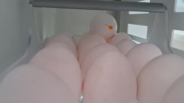 White chicken eggs arranged neatly inside plastic refrigerator storage